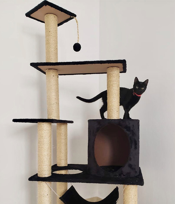 Arranhador para gatos: Grande